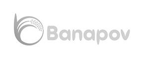 Banapov-logo